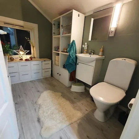 Modern House Willa *