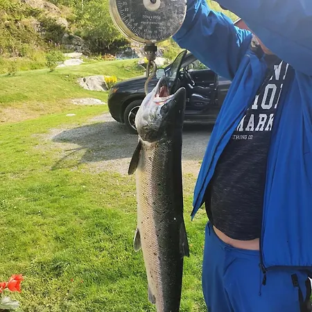 Willa Modern House *