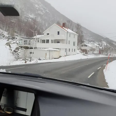 Modern House Willa *