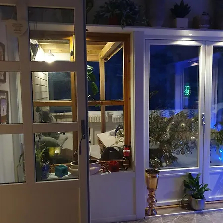 Modern House Willa *